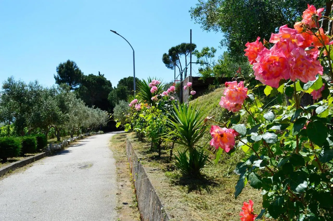 ***  Hotel Nature Kolonje  Albania