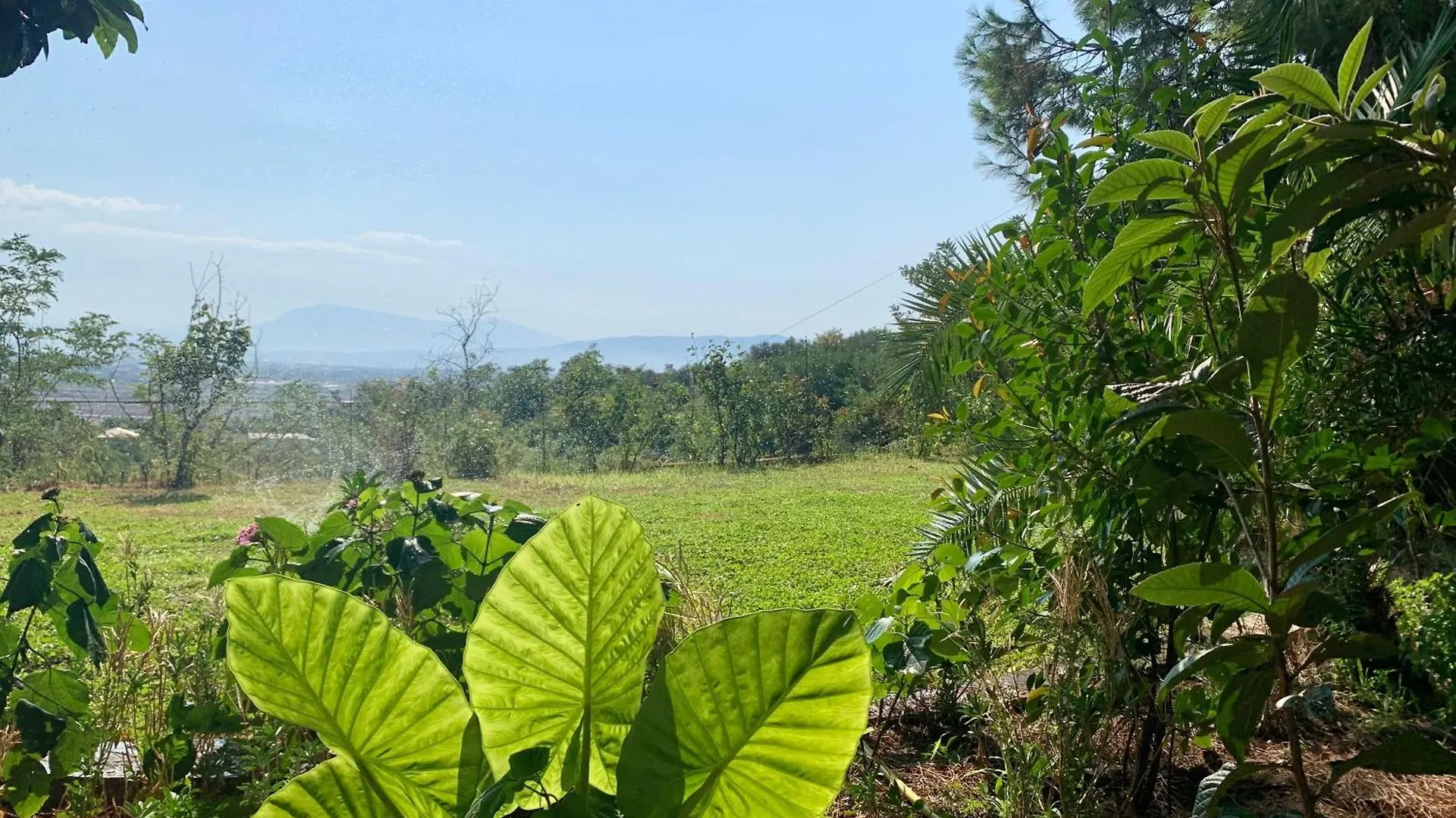 Hotel Nature Kolonje  Албания